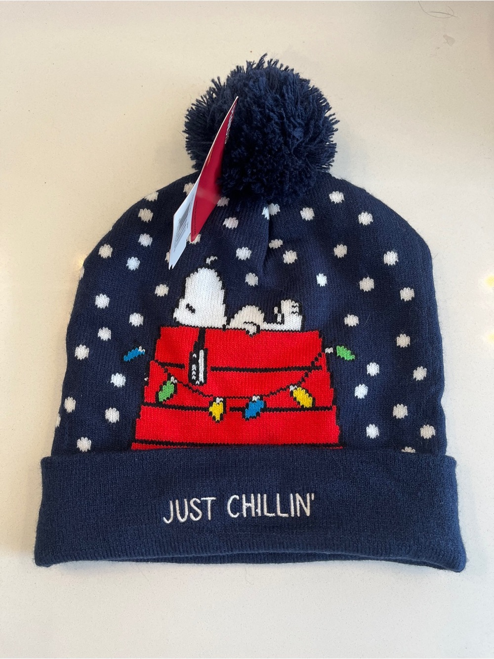 NWT peanuts snoopy Christmas beanie